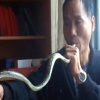 中 남성 살아 있는 뱀을 ‘꿀꺽’