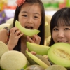 “3색 멜론 맛보세요”