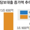 [부동산 2제] 지역별 LTV 조정 힘 받나