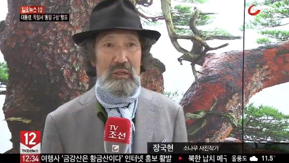 사진작가 장국현 금강송 무단 벌목. / TV조선