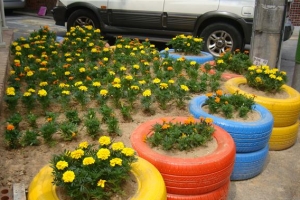 악취 나던 곳 향기 꽉 찼네