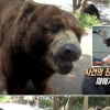동물농장 김상중, 수컷 곰 흉내 “그런데 말입니다”…시청자 폭소 유발
