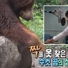 ‘동물농장’ 그런데 말입니다, 김상중 수컷 곰의 심정으로? ‘진지해서 더 웃겨’
