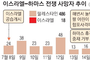 중동국가 간 분열에 발목 잡힌 이·팔 휴전