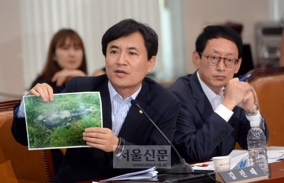 24일 서울 여의도 국회에서 열린 법사위에서 새누리당 김진태 의원이 인터넷에 유출된 유병언의 시신사진을 들어 보이고 있다.  정연호 기자 tpgod@seoul.co.kr