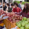 “맛 좋은 우리 농산물 저렴하게 사세요”