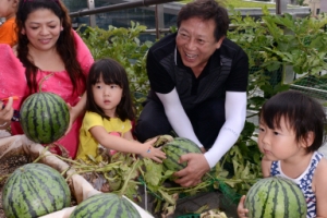 “금천구청에서 재배한 수박입니다”