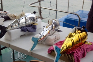 억대 뇌물 받은 ‘4대강 로봇물고기’ 연구원 징역 7년