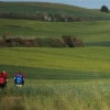 [책속 그림] 산티아고 순례길 바람소리 들리네