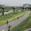 [‘환경 업그레이드’ 2題] 금천, ‘녹색 안양천’ 복원하고