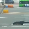 석촌역 인근 도로, 싱크홀 발생 ‘사진 보니’