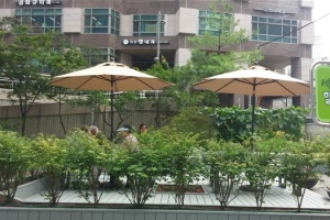 중구 채소 기르는 힐링텃밭 조성… 말복엔 삼계탕 봉사로 건강 챙겨