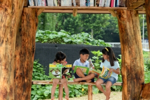 책·원두막·친구… 완벽한 여름방학