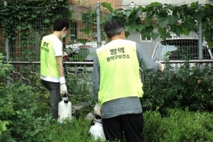 주민이 직접 잡겠소… 관악구 ‘모기 대첩’