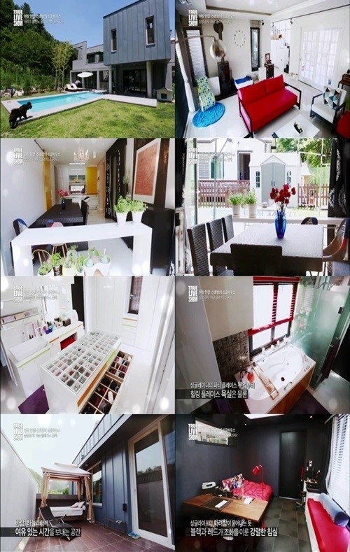 신효범 전원주택