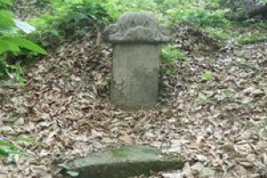 도심 속 묘지, 에코뮤지엄 ‘변신’