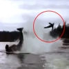 바다사자, 범고래 꼬리에 맞아 하늘로 ‘휭~’