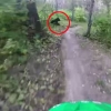 ‘깜짝이야!’ 산악자전거 앞으로 튀어나온 야생곰