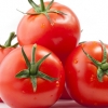 “토마토, 전립선 암 예방 효과”, 토마토의 어떤 성분 때문에…?