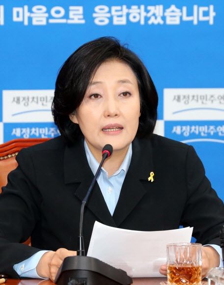 박영선 ”집권여당, 최소한의 책임감 보여줘야”
