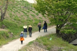 둘레길 우후죽순 관리는 엉망진창