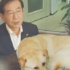 박원순 진돗개 사육비 논란, 3마리 키우는 가격은?