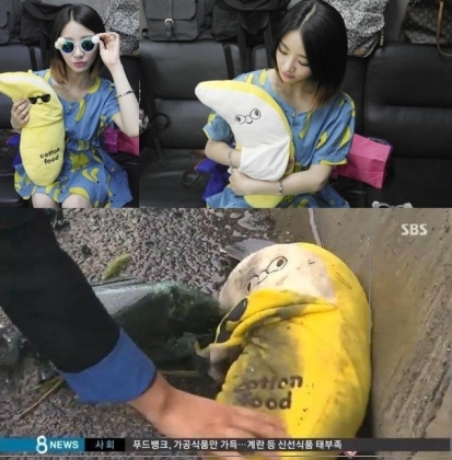 레이디스코드 은비. 권리세 뇌수술. 고은비 가족. / 레이디스코드 블로그. SBS