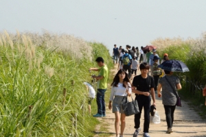 한가위 지나니 가을 더 성큼