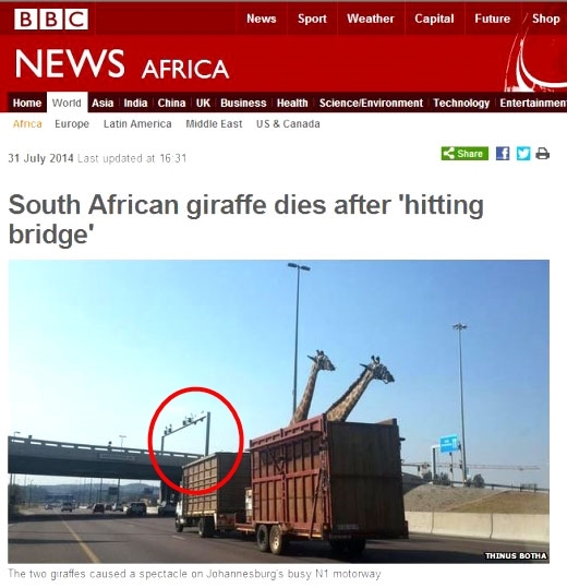 영국 BBC 보도화면 캡처