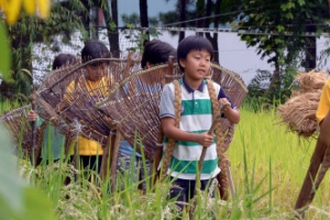 지게 지고 벼농사 체험 나선 아이들