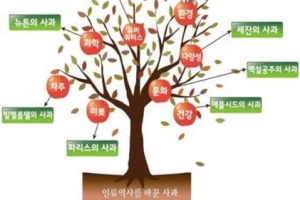 [농촌진흥청과 함께하는 식품보감] 저녁에 먹는 사과는 毒? 다른 과일과 보관 말라?