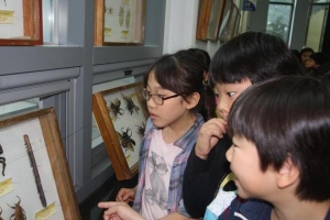 미래의 파브르들 여기 모여라