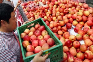 탐스러운 제철 사과랍니다