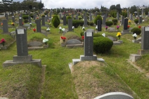 공동묘지 묘비에 웬 체불 딱지?