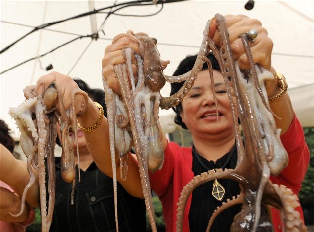 지난해 다동·무교동 축제에서 상인이 산낙지를 자랑하고 있다. 중구 제공