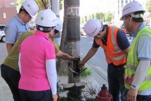 강동구 청렴특구 만든다