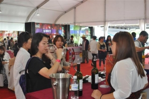 충북 영동, ‘대한민국 와인 1번지’ 꿈이 영글다