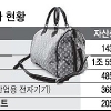 루이비통 등 유한회사도 내년부터 외부감사 받는다