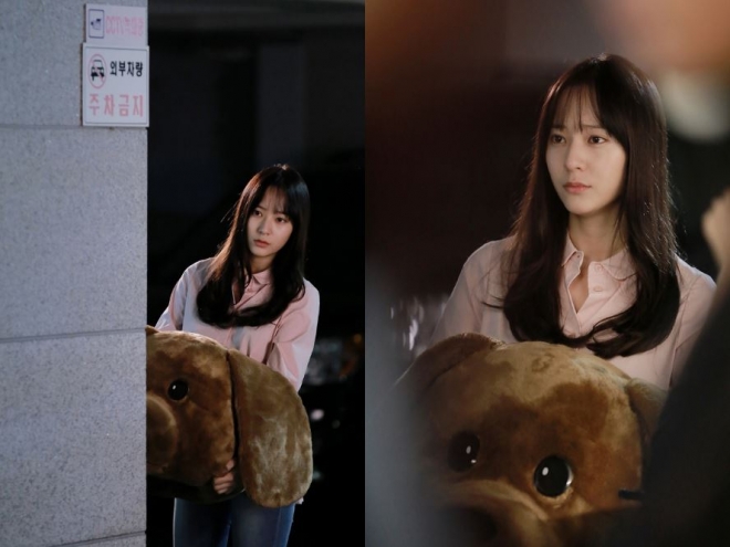 ‘내그녀’ 크리스탈 강아지탈