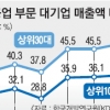 한국경제 매출액 중 대기업 비중 30% 달해