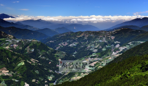 허환산 주변 산자락에 형성된 차밭. 해발 3000m 안팎의 고산지대에서 세계 최고 수준의 우롱차가 생산된다. 타이루거 국립공원과 경계를 이루는 쿤양에서 굽어본 풍경이다.