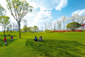 무료 대여한 국가정원서  입장료 10만원 음악제?