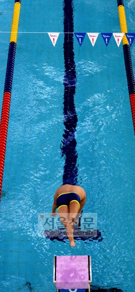 수영의 김세진 선수가 물속을 향해 힘찬 스타트를 하고 있다. 김세진은 지체장애를 극복하고 한국 장애인 수영의 간판으로 성장한 금메달 유망주다.