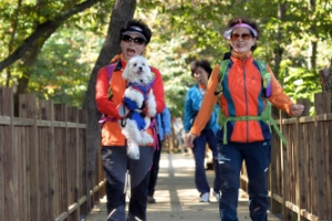 힐링되는 용마산 자락길 완공