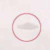 여객기 탑승객이 포착한 접시형 UFO 실체는?