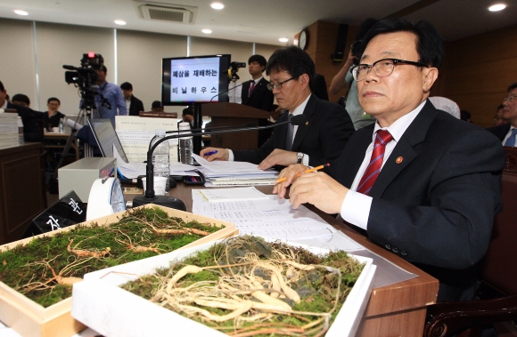 지난 7일 정부세종청사에서 열린 농림축산식품해양수산위원회의 농림축산식품부 대상 국정감사에서 이동필 장관이 이종배 새누리당 의원이 가져온 산양삼 진품과 가품을 앞에 놓고 국내 산양삼 재배 농가 보호 대책을 묻는 질의에 답하고 있다. 연합뉴스