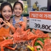 킹크랩 가격 폭락 “현대판 허생전?” 헐값에 물건 처분하는 이유 알고보니 ‘경악’