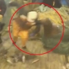 배위에서 어부 물어 내동댕이치는 바다사자 ‘아찔’