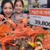 킹크랩 가격 폭락 “킹크랩 200t 원가 수준으로…” 폭탄 물량공세 내막 알고보니 ‘경악’
