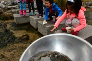 ‘도봉구 새 이웃’ 다슬기와 참게